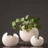 1669956734269.jpg Simple white ceramic vase decoration