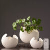 1936603324816.jpg Simple white ceramic vase decoration
