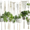 2cd43386-3d56-43fe-a728-cb1661aa1a00.jpg Beige Cotton Rope Plant Hanger – Indoor Hanging Basket for Flower Pots
