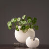 464791648448.jpg Simple white ceramic vase decoration