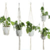 520afa74-f1de-417a-bbb8-d6bfb9371666.jpg Beige Cotton Rope Plant Hanger – Indoor Hanging Basket for Flower Pots