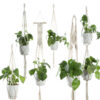 6587b9c6-bcc5-4e2d-8f07-880fb32cd2cf.jpg Beige Cotton Rope Plant Hanger – Indoor Hanging Basket for Flower Pots