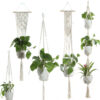 b436d759-a329-48ea-a565-f7ce7cf7a6a3.jpg Beige Cotton Rope Plant Hanger – Indoor Hanging Basket for Flower Pots