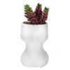 Ceramic Decorative Flower Pot Ornaments