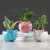 Nordic Cartoon Animal Ceramic Succulent Pot