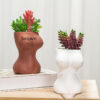 Ceramic Decorative Flower Pot Ornaments
