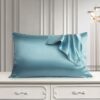 Pure Silk Pillowcase – Natural Real Silk Luxury Pillow Cover