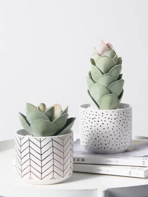 Modern Minimalist Ceramic Flower Pot