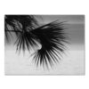 5d004a45-b6bf-41d9-97fe-9f32b5f1f1ff_trans.jpeg Nordic Black & White Seaside Landscape Poster – Modern Wall Decor