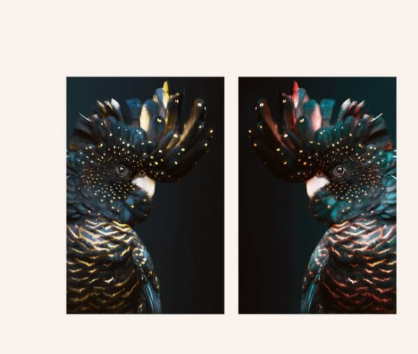 Animal Print Wall Art – Modern Living Room Canvas Decor