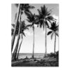 a61edabe-1205-40b1-b072-532d774b68dd_trans.jpeg Nordic Black & White Seaside Landscape Poster – Modern Wall Decor