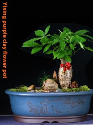 Purple Sand Oval Bonsai Planter