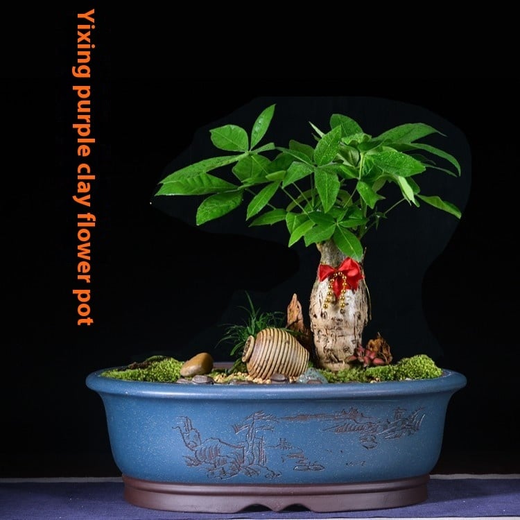 Purple Sand Oval Bonsai Planter